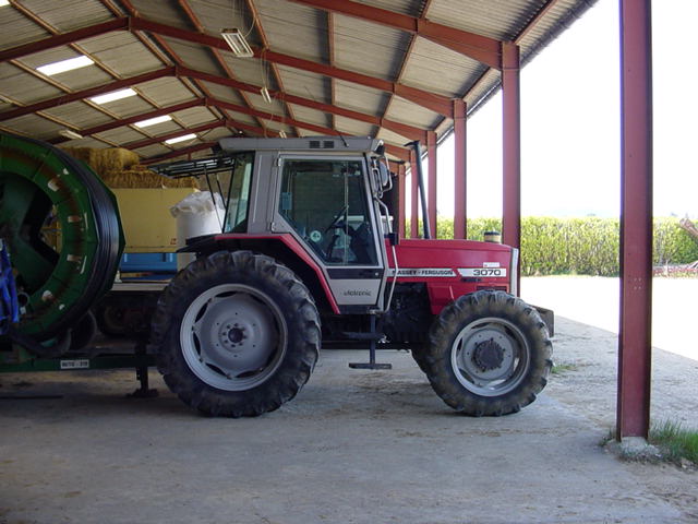 massey.JPG