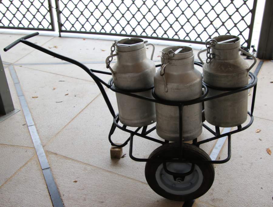 RB0A5509.JPG