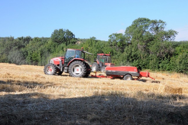Moisson01.jpg