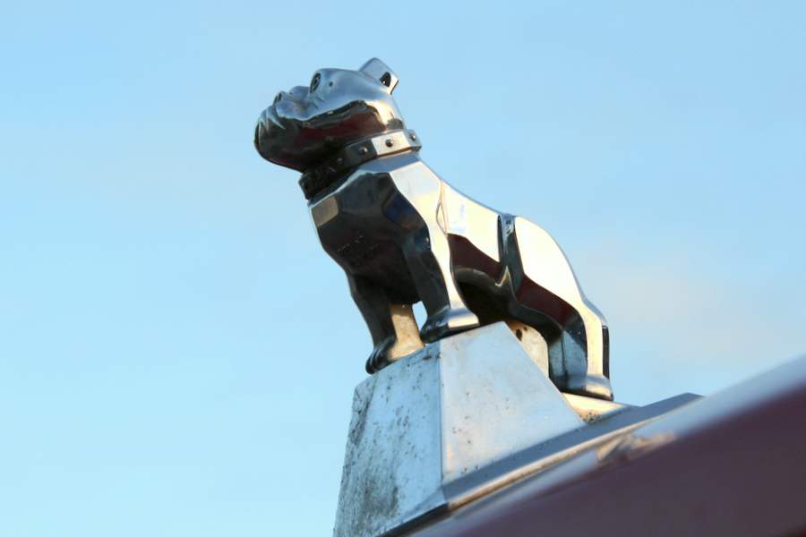 RB0A5655.JPG