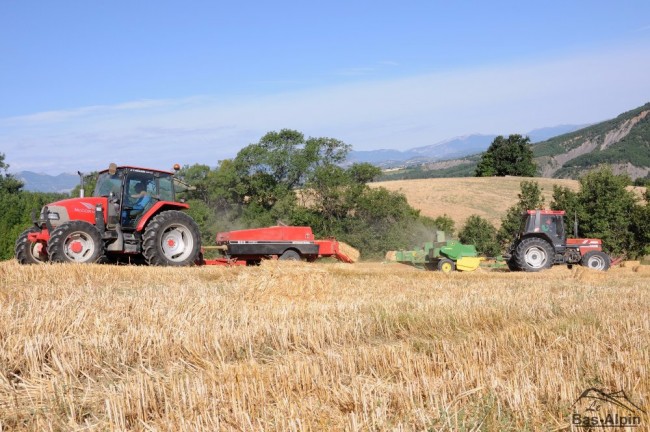 Moisson05.jpg