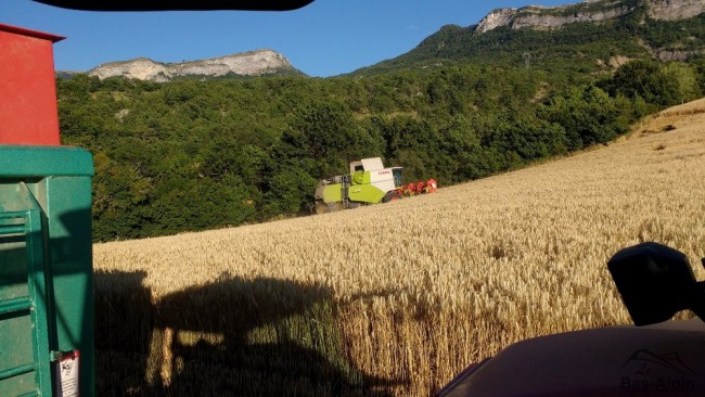 Moisson08.jpg
