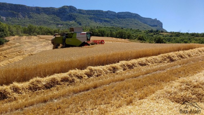 Moisson09.jpg