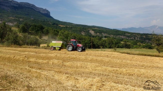 Moisson13.jpg