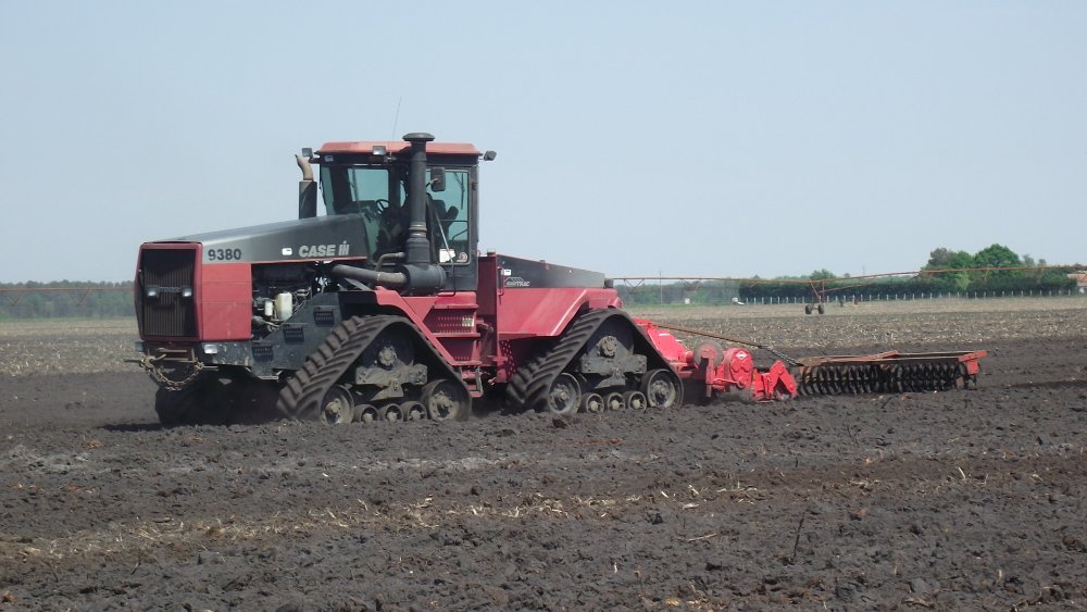 Agri médoc (29).JPG