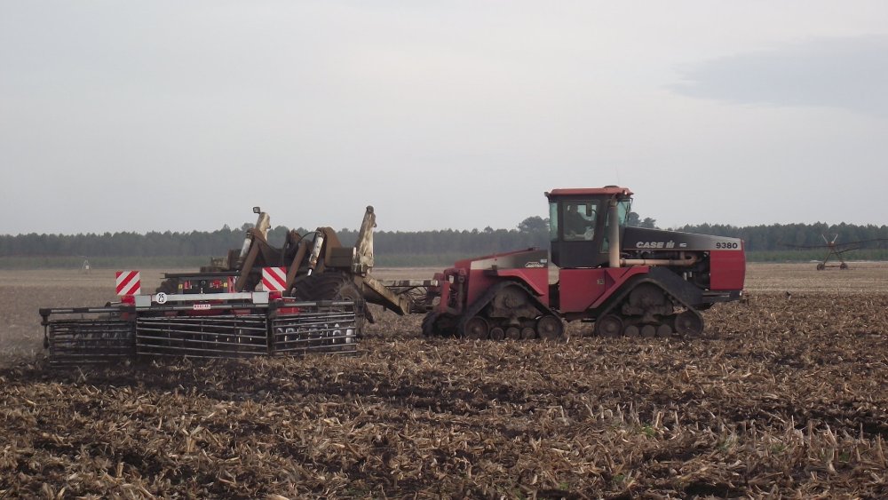 Landes Mars 2011 683.JPG