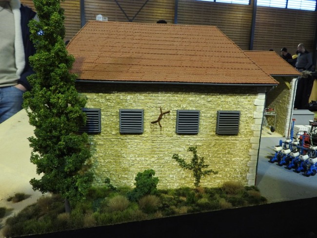 DSCN5255.JPG