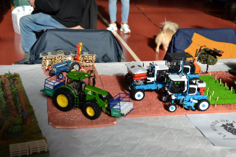 DSC_0963.JPG