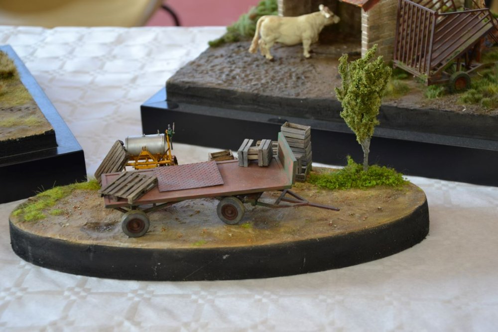 DSC_0984.JPG