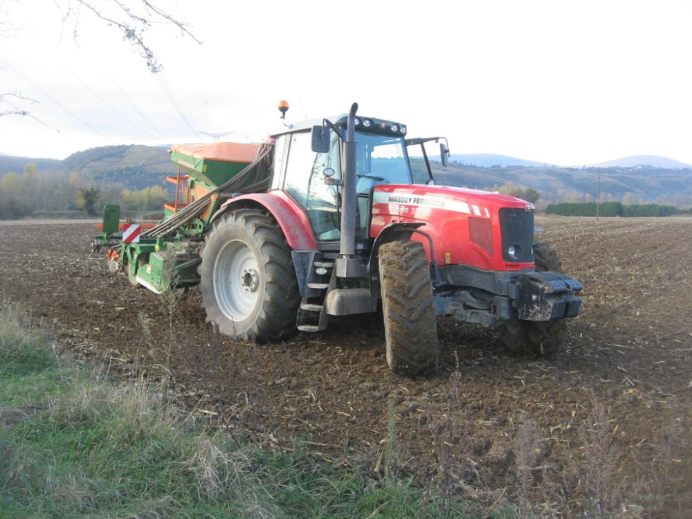 semis 2009 087.JPG