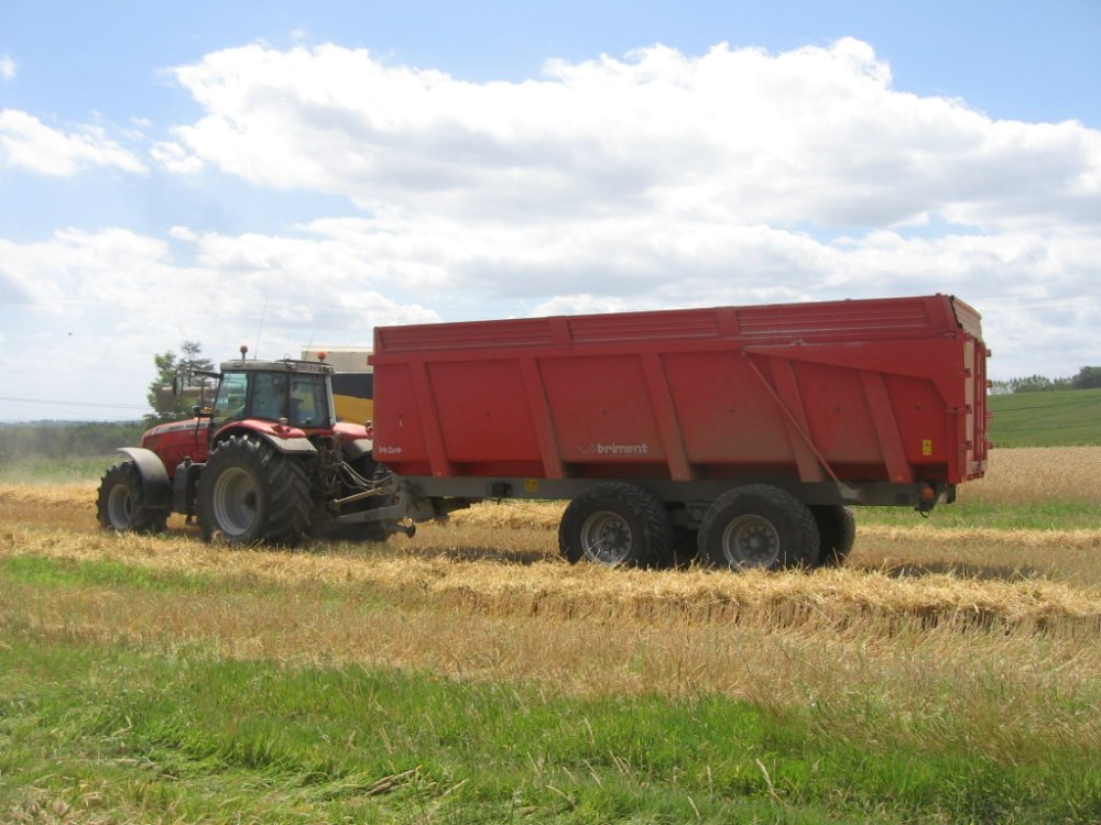Moisson blé (47) 013.JPG