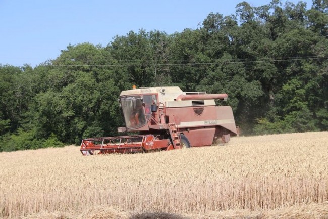 moisson et orage 020.JPG