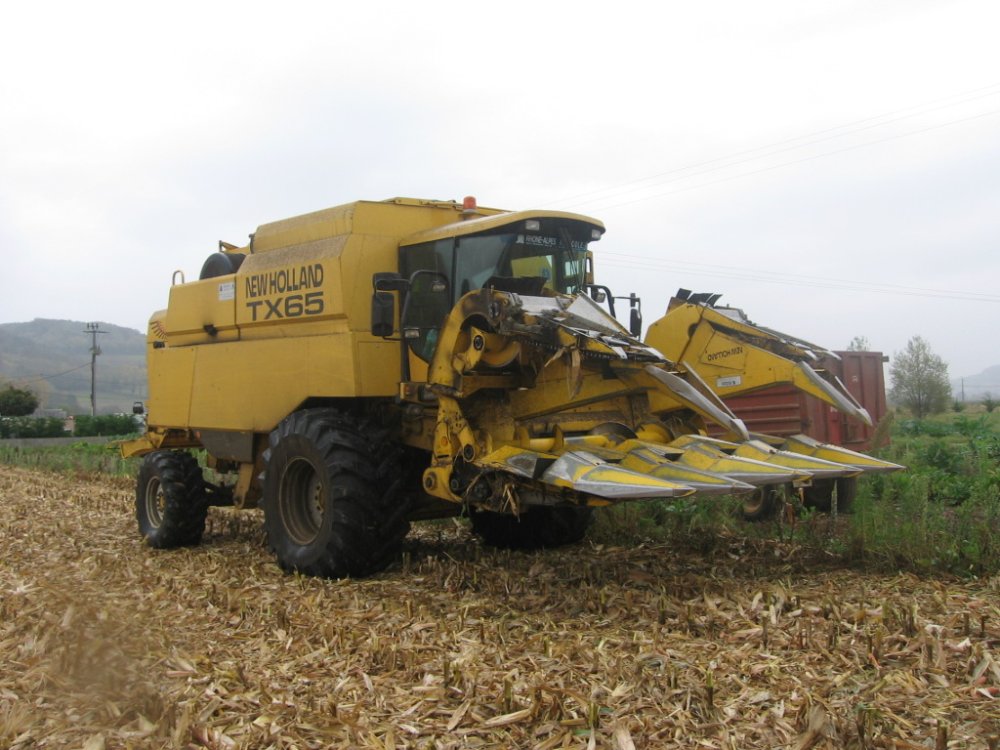 Agri Automne 2008 006.JPG