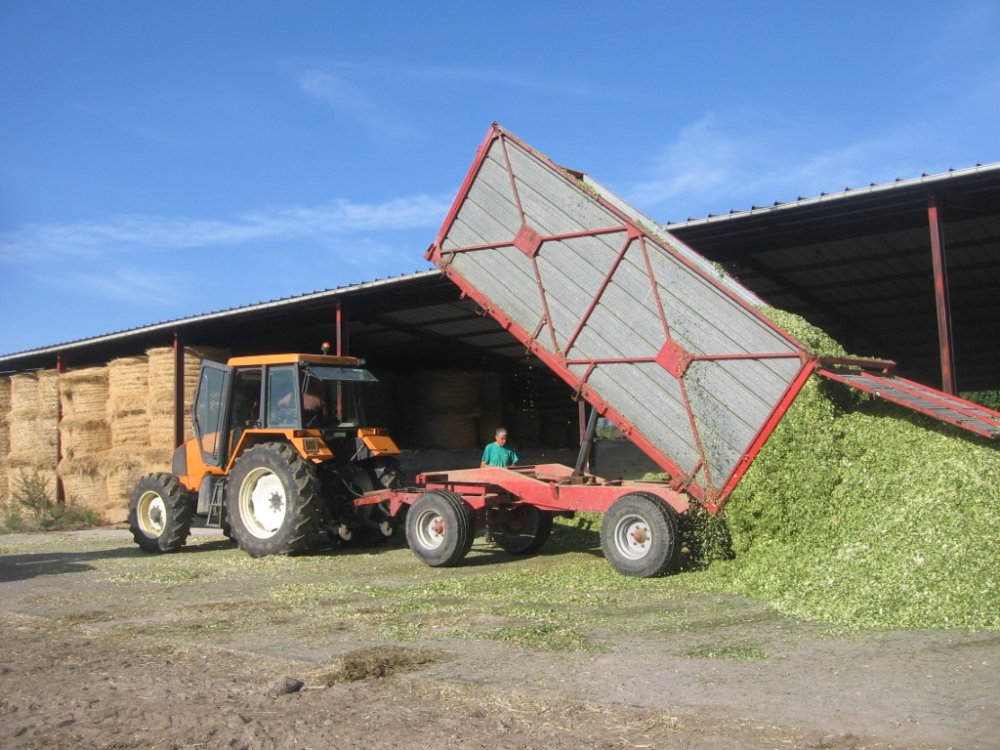 Ensilage St alban 2009 084.JPG