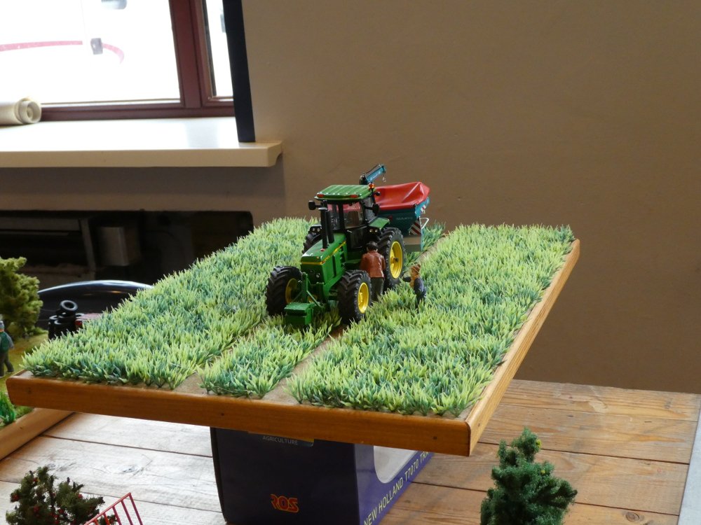 P1000340.JPG