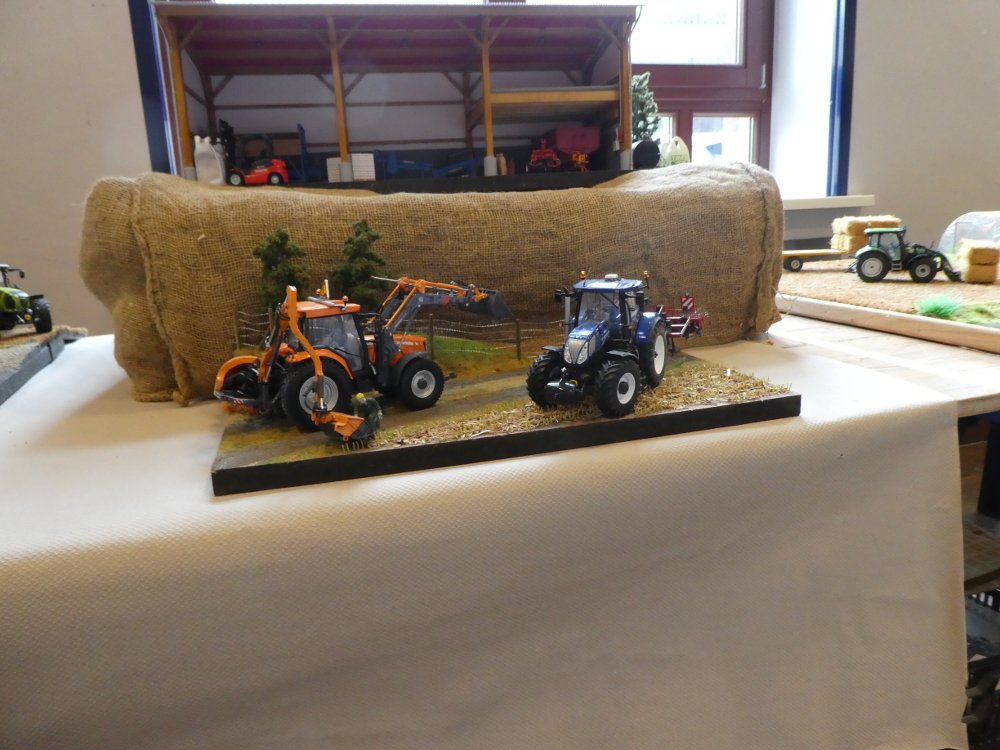 P1000341.JPG