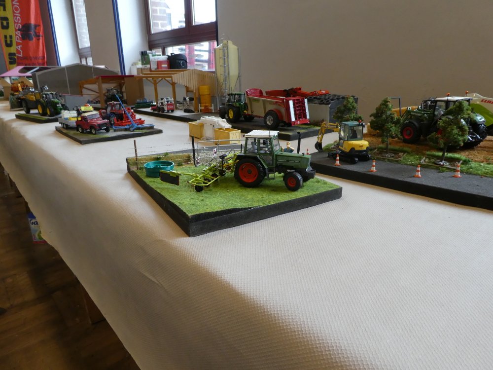 P1000347.JPG