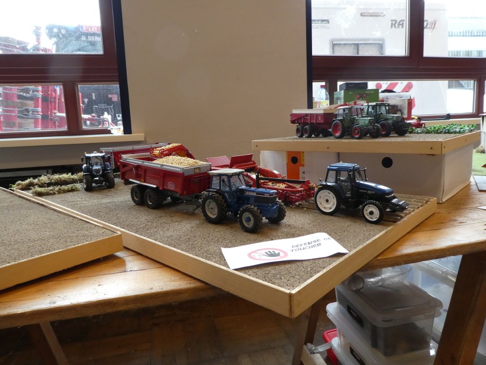 P1000363.JPG