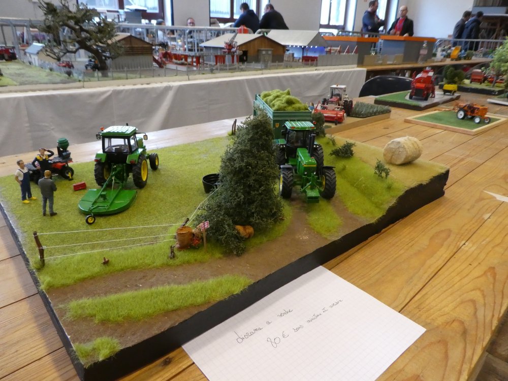 P1000377.JPG
