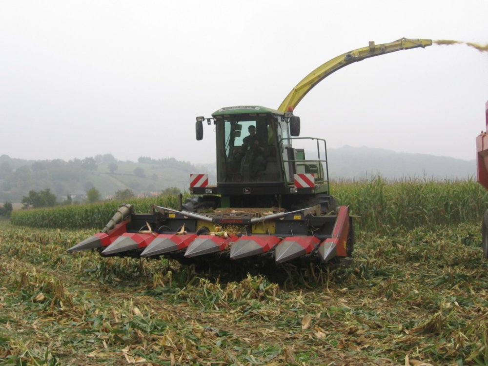 Ensilage maïs epis 033.JPG