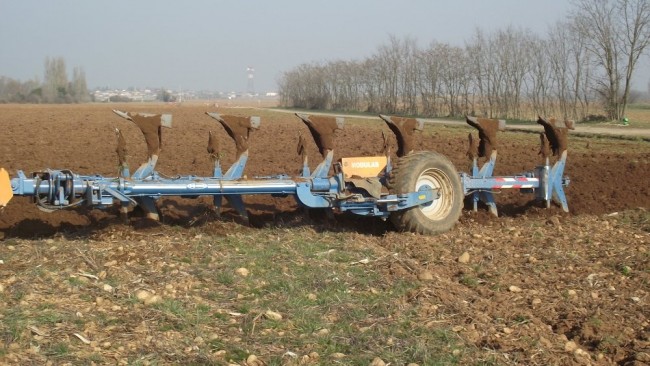 8 février 2011 149.JPG
