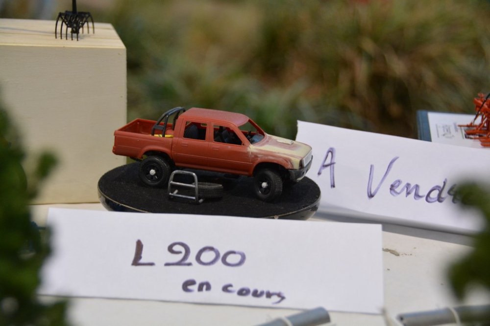 DSC_0147.JPG