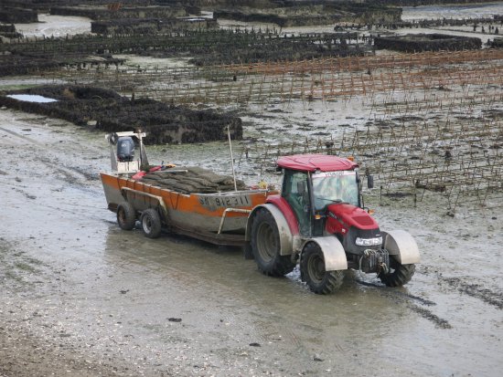 2 Tracteur barge.jpg