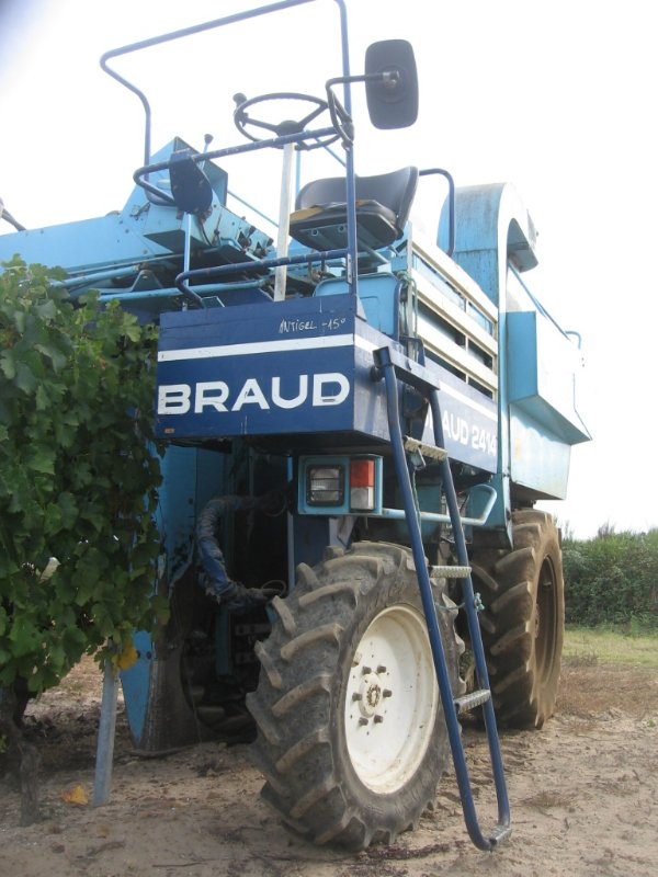 Vendanges M 2009 (44).JPG