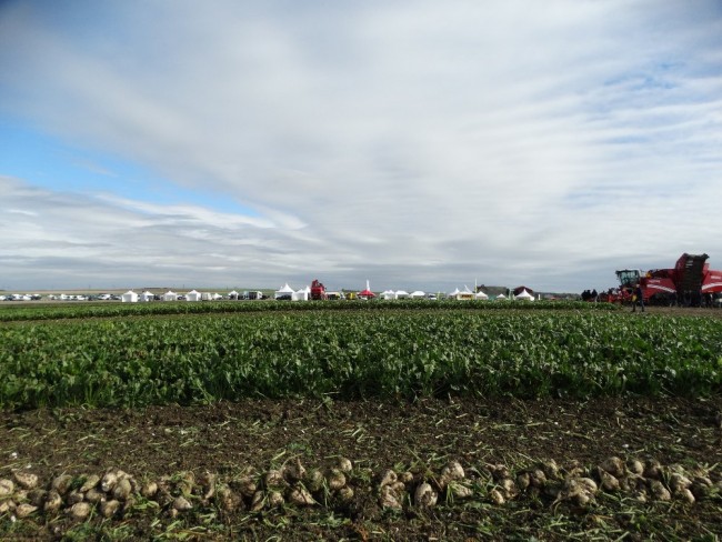 DSC03003.JPG
