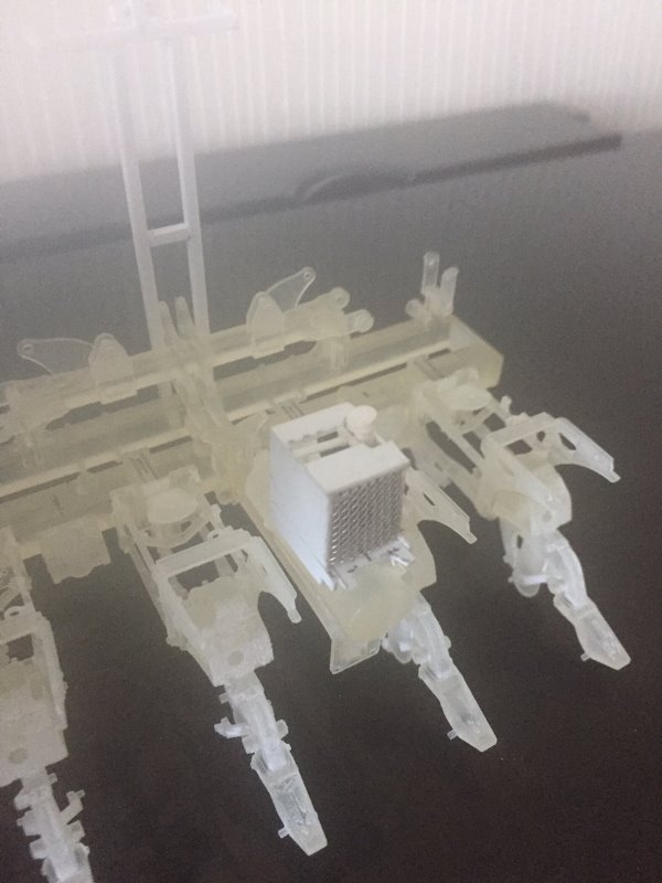 image12.jpeg