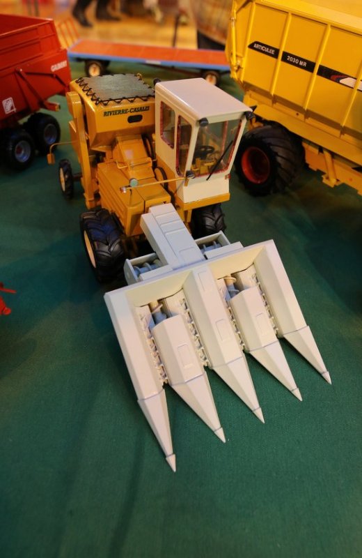 RB0A9962.JPG