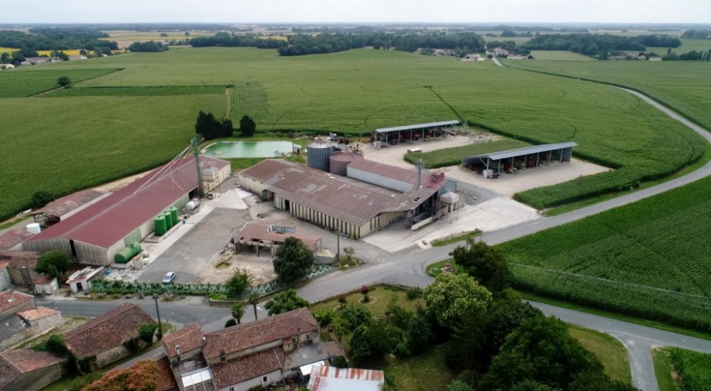 DJI_0010 (1024x563).jpg