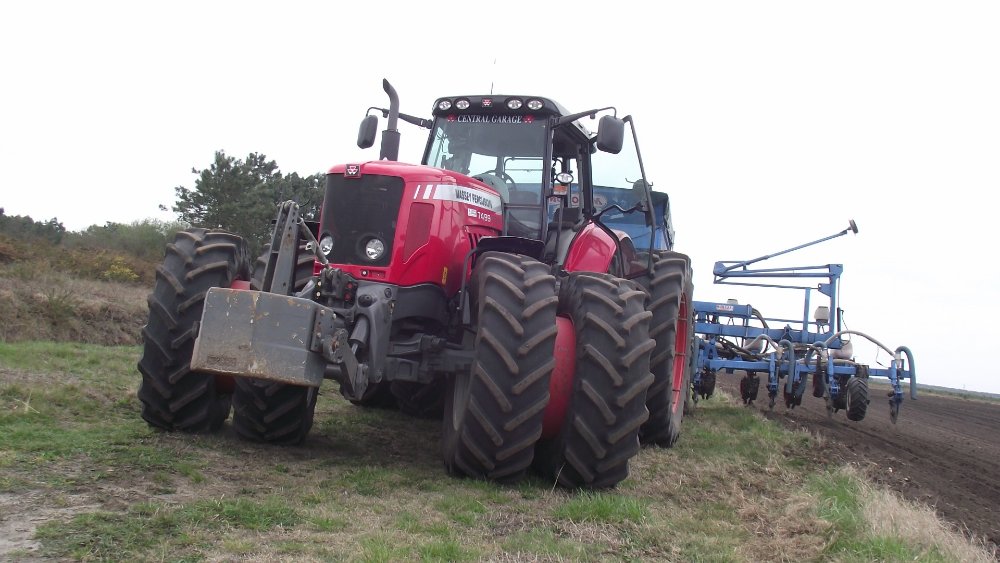 Landes Avril 2012 440.JPG