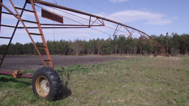 Landes Mars 2011 565.JPG