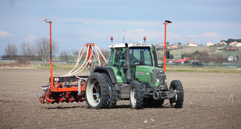 Semis2018 026.JPG