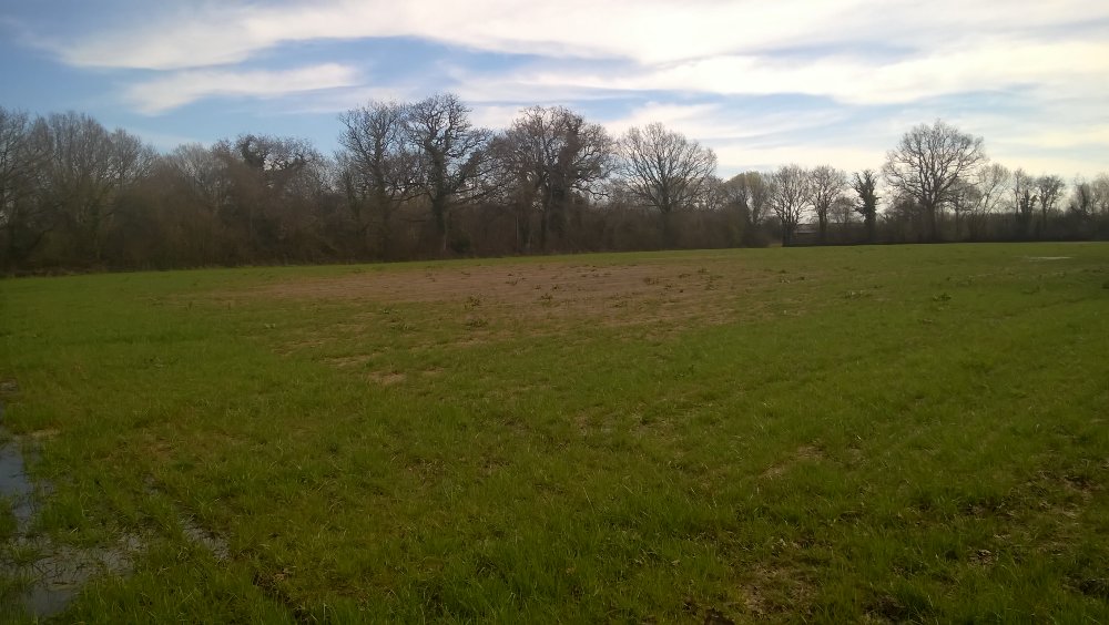 WP_20180326_003.jpg
