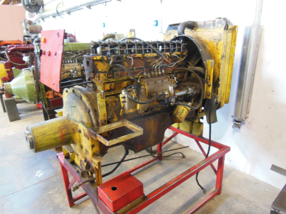 DSCN5193.JPG