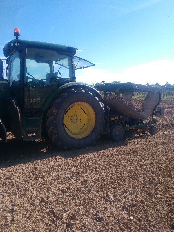 plant1.jpg