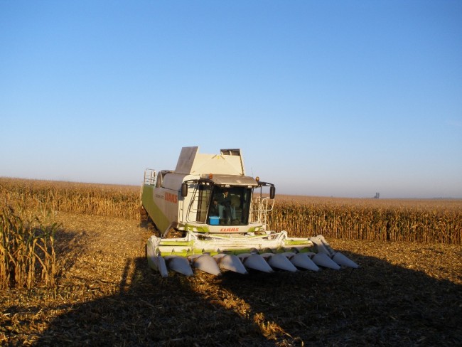 PA210834.JPG