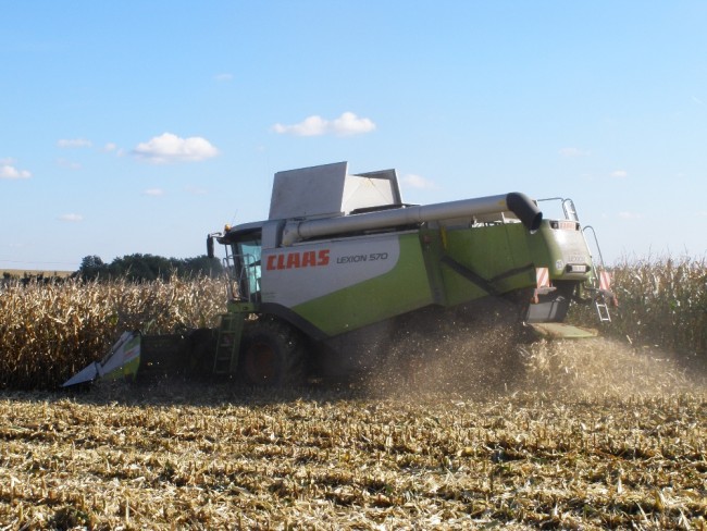 PA210845.JPG