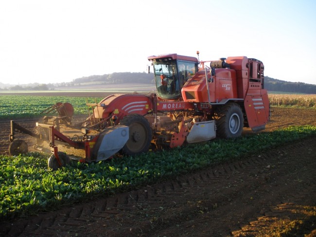 PA150100.JPG