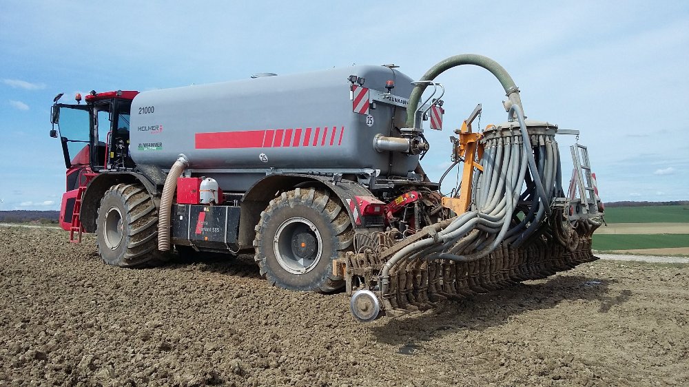 Holmer Terra Variant 585 (2).jpg