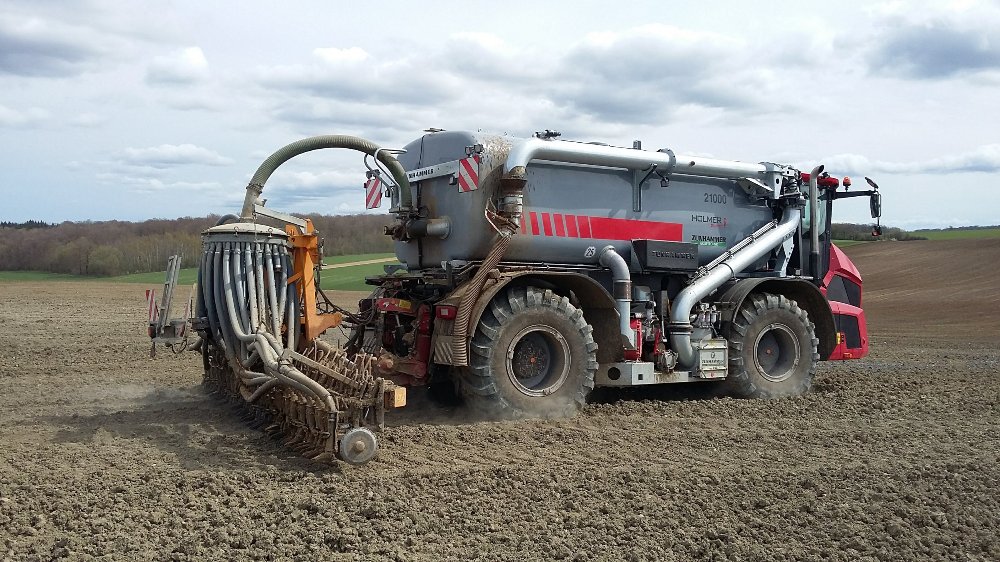 Holmer Terra Variant 585 (5).jpg