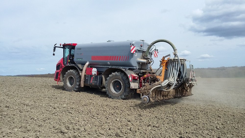 Holmer Terra Variant 585 (7).jpg