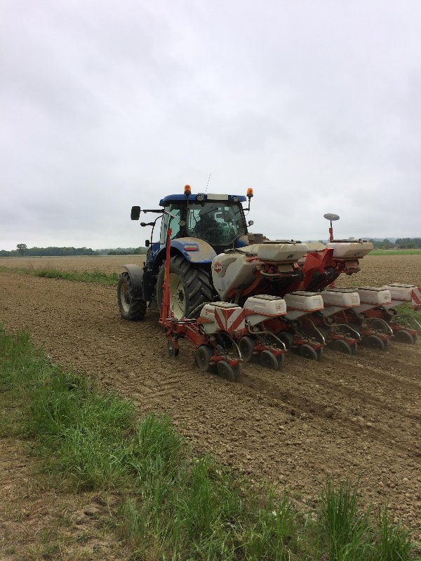 T7Kuhn2.jpg