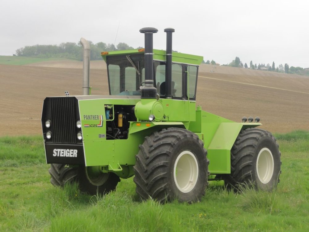 steiger saubole 2018 002.JPG