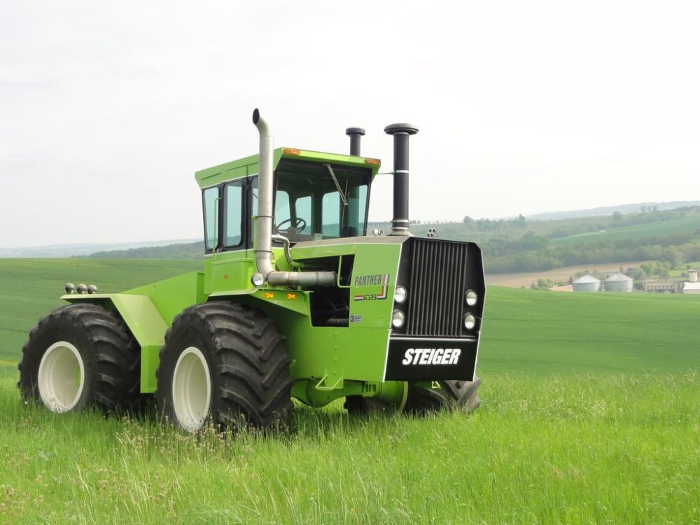 steiger saubole 2018 013.JPG