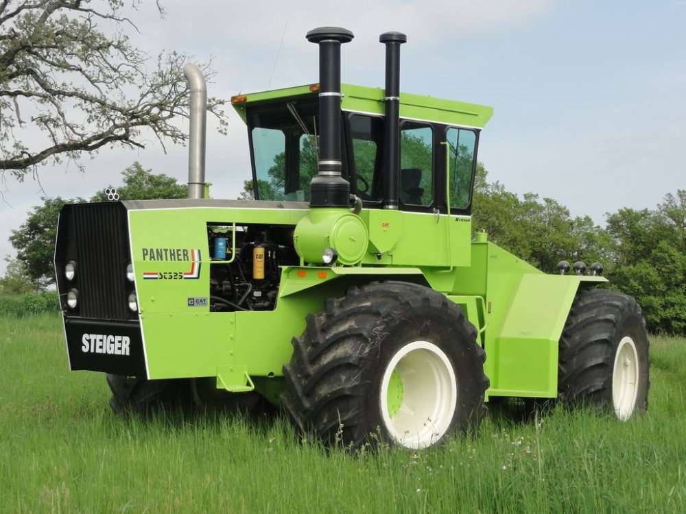 steiger saubole 2018 016.JPG