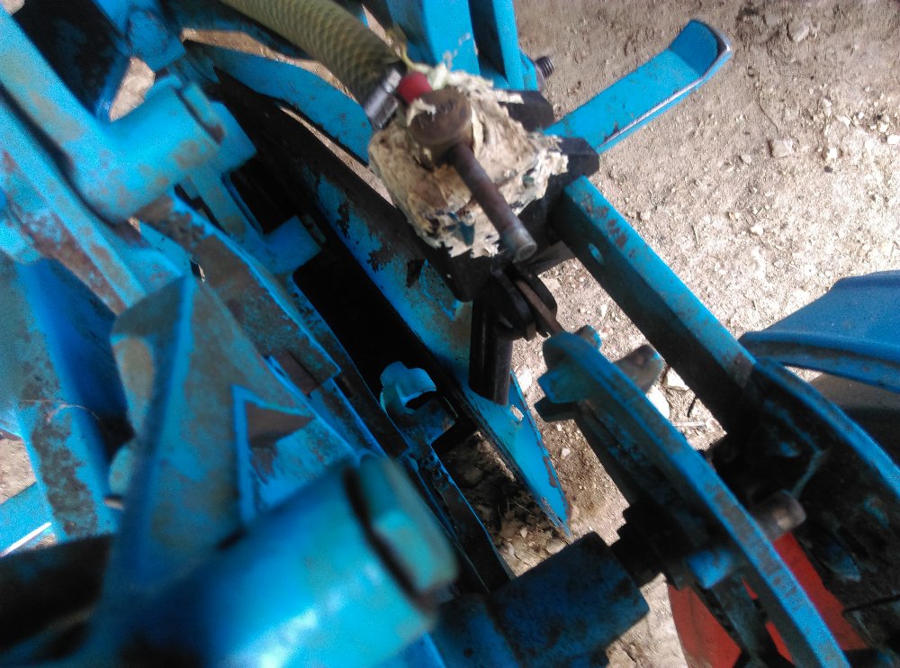 IMAG0793.jpg