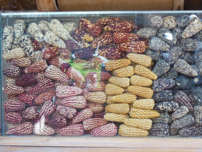 DSCN5755.JPG